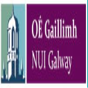http://www.ishallwin.com/Content/ScholarshipImages/127X127/The National University of Ireland-2.png